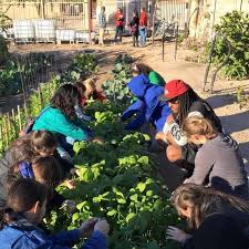 Gardening Club